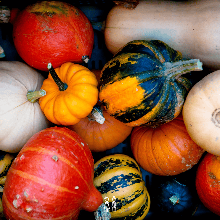 Pourquoi l’automne rime souvent avec prise de poids ?